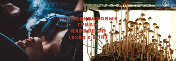 прущая мука Абаза