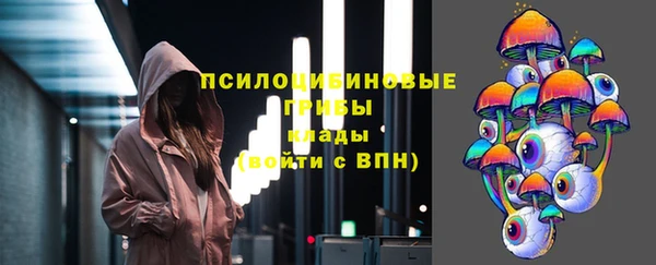 прущая мука Абаза