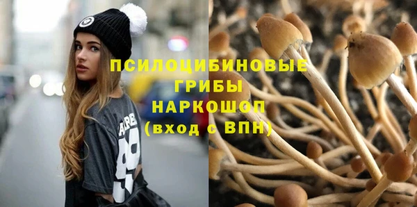 хмурый Абинск
