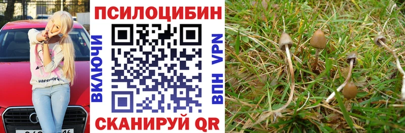 Псилоцибиновые грибы MAGIC MUSHROOMS  Черногорск 